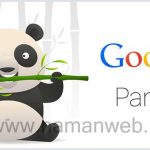 google_panda_3